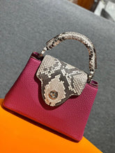 Louis Vuitton Cappucine Bag - UAE